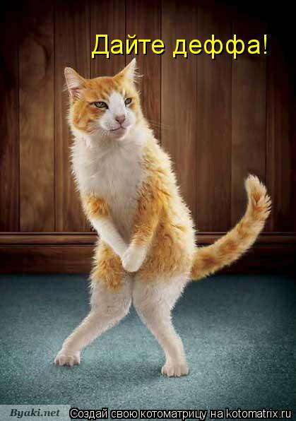 Котоматрица: Дайте деффа!