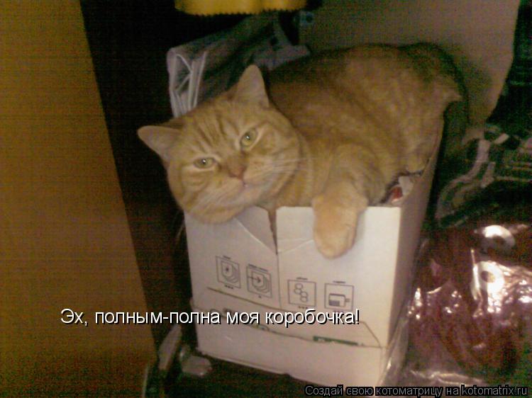 Котоматрица: Эх, полным-полна моя коробочка!