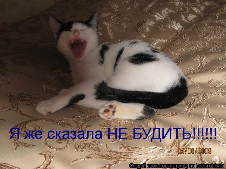 Котоматрица: Я же сказала НЕ БУДИТЬ!!!!!!