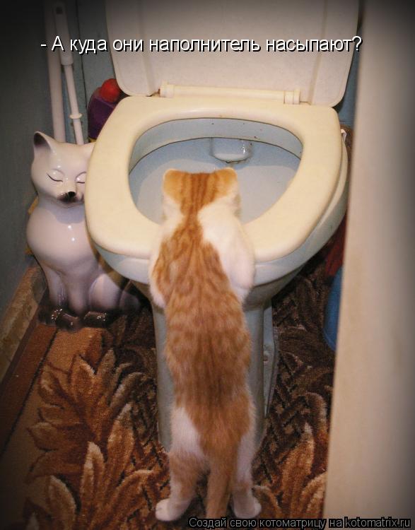 Котоматрица: - А куда они наполнитель насыпают?