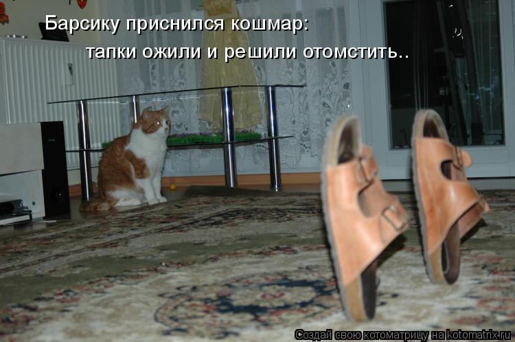 Котоматрица: Барсику приснился кошмар:  тапки ожили и решили отомстить..