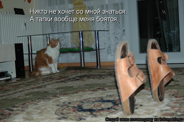 Котоматрица: Никто не хочет со мной знаться. А тапки вообще меня боятся.