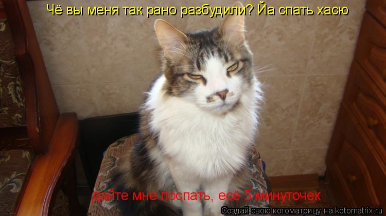 Котоматрица: Чё вы меня так рано разбудили? Йа спать хасю дайте мне поспать, есё 5 минуточек