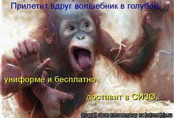 Котоматрица: Прилетит вдруг волшебник в голубой  униформе и бесплатно доставит в СИЗО…