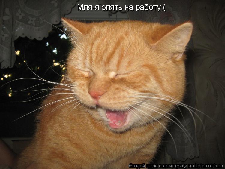 Мля-я опять на работу:(... Котоматрица: Мля-я опять на работу:(