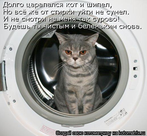 Котоматрица: Долго царапался кот и шипел, Но всё же от стирки уйти не сумел. И не смотри на меня так сурово! Будешь ты чистым и беленьким снова.