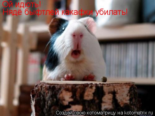 Котоматрица: Ой идють!  Нядё быфтлей какафки убилать!