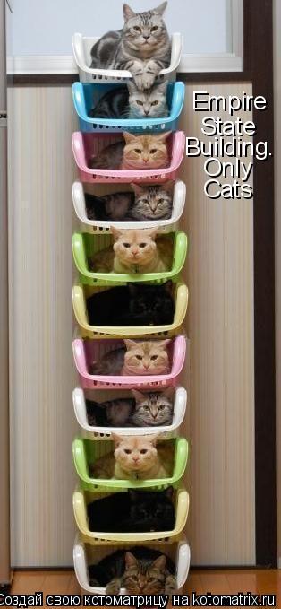 Котоматрица: Empire State Building. Only Cats