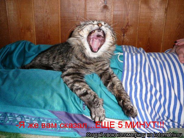 Котоматрица: -Я же вам сказал...ЕЩЕ 5 МИНУТ!!!