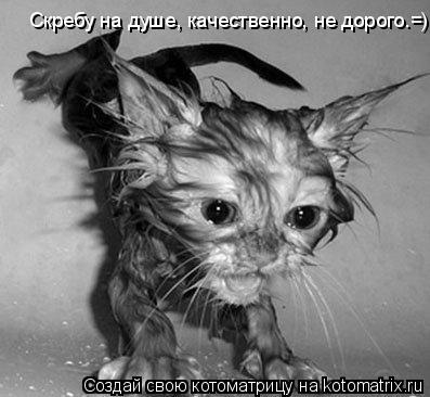 Котоматрица: Скребу на душе, качественно, не дорого.=)