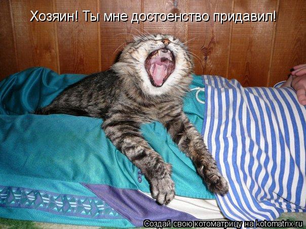 Котоматрица: Хозяин! Ты мне достоенство придавил!