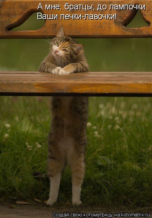 Котоматрица: А мне, братцы, до лампочки Ваши печки-лавочки!