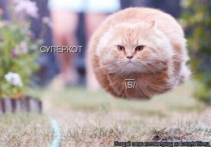 Котоматрица: СУПЕРКОТ S __  /