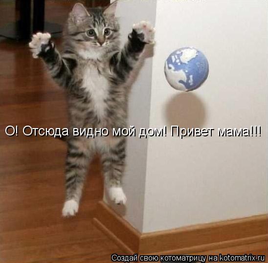 О! Отсюда видно мой дом! Привет мама!!!... Котоматрица: О! Отсюда видно мой дом! Привет мама!!!