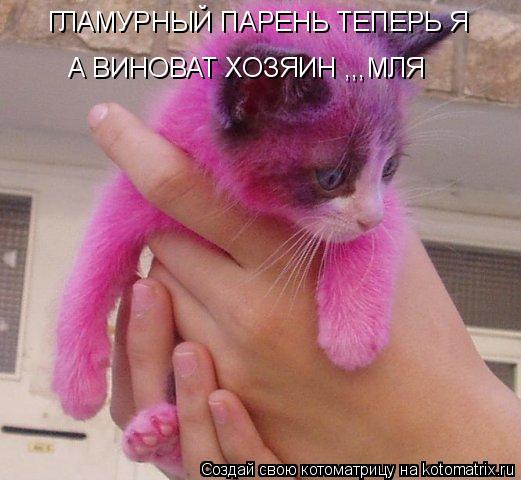 ГЛАМУРНЫЙ ПАРЕНЬ ТЕПЕРЬ Я А ВИНОВАТ ХОЗЯИН ,,,МЛЯ... Котоматрица: ГЛАМУРНЫЙ ПАРЕНЬ ТЕПЕРЬ Я А ВИНОВАТ ХОЗЯИН ,,,МЛЯ