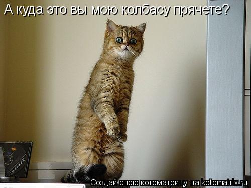 А куда это вы мою колбасу прячете?... Котоматрица: А куда это вы мою колбасу прячете?