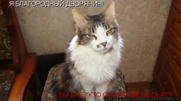 Я БЛАГОРОДНЫЙ ДВОРЯНИН! А ВЫ МНЕ:"КТО СОЖРАЛ ВЕСЬ СЫР"?... Котоматрица: Я БЛАГОРОДНЫЙ ДВОРЯНИН! А ВЫ МНЕ:"КТО СОЖРАЛ ВЕСЬ СЫР"?