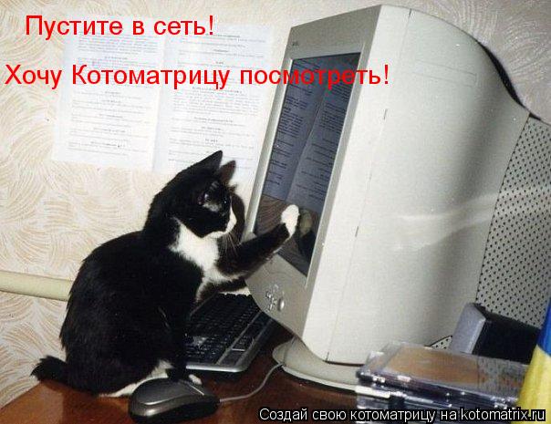 Пустите в сеть! Хочу Котоматрицу посмотреть!... Котоматрица: Пустите в сеть! Хочу Котоматрицу посмотреть!
