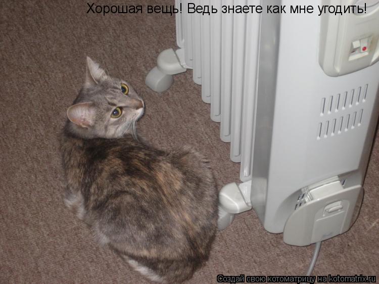 Котоматрица: Хорошая вещь! Ведь знаете как мне угодить!