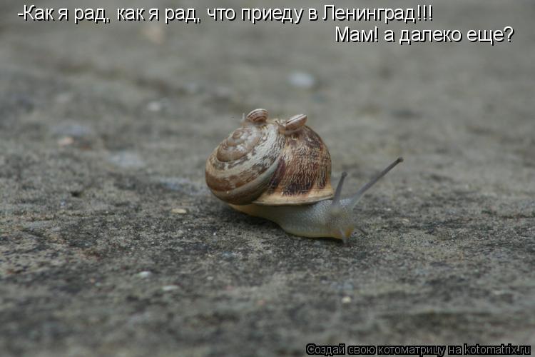 Котоматрица: -Как я рад, как я рад, что приеду в Ленинград!!! Мам! а далеко еще?