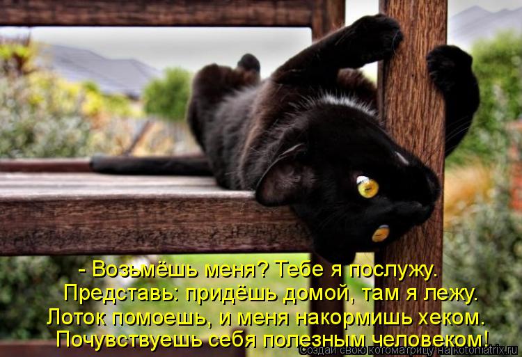 Котоматрица: - Возьмёшь меня? Тебе я послужу.  Представь: придёшь домой, там я лежу. Лоток помоешь, и меня накормишь хеком. Почувствуешь себя полезным чело