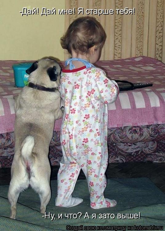 -Дай! Дай мне! Я старше тебя! -Ну, и что? А я зато выше!... Котоматрица: -Дай! Дай мне! Я старше тебя! -Ну, и что? А я зато выше!