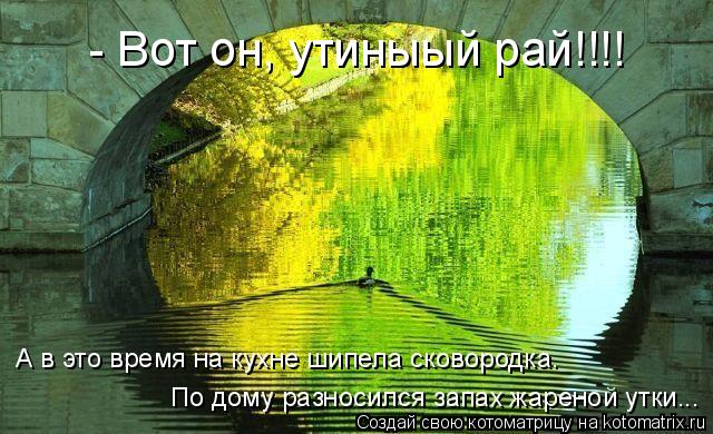 Котоматрица: - Вот он, утиныый рай!!!! А в это время на кухне шипела сковородка.  По дому разносился запах жареной утки...