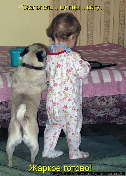 Котоматрица: Скальпель... щипцы... вату...  Жаркое готово!