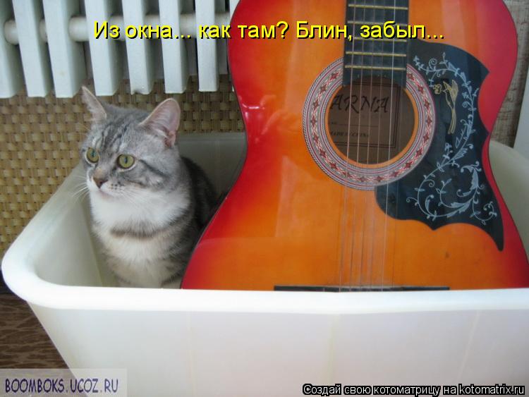 Котоматрица: Из окна... как там? Блин, забыл...