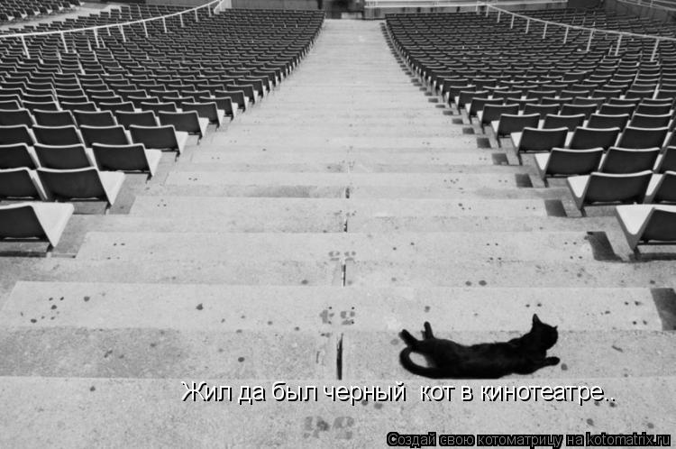 Жил да был черный кот в кинотеатре..... Котоматрица: Жил да был черный кот в кинотеатре..