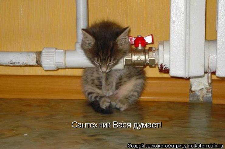 Сантехник Вася думает!... Котоматрица: Сантехник Вася думает!