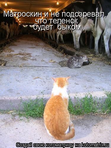 Матроскин и не подозревал, что теленок будет быком..... Котоматрица: Матроскин и не подозревал, что теленок будет быком..