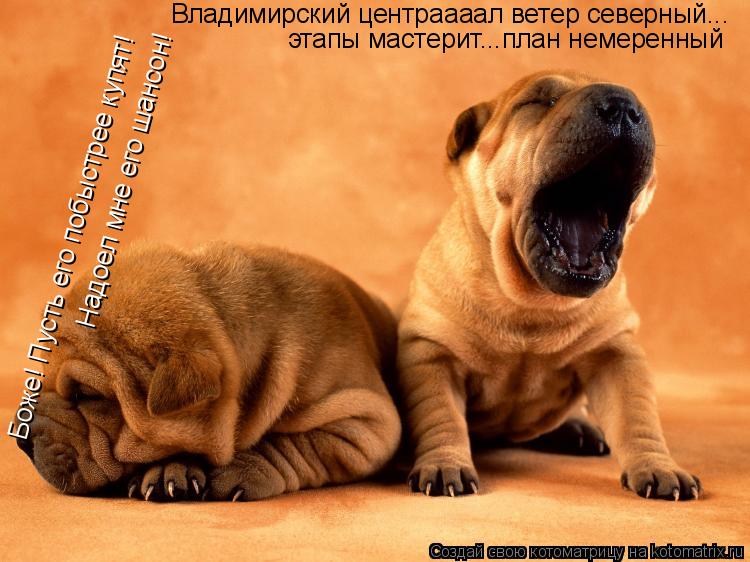 Владимирский центраааал ветер северный... этапы мастерит...план немеренный Боже! Пусть его побыстрее ... Котоматрица: Владимирский центраааал ветер северный... этапы мастерит...план немеренный Боже! Пусть его побыстрее купят! Боже! Пусть его побыстрее купят!