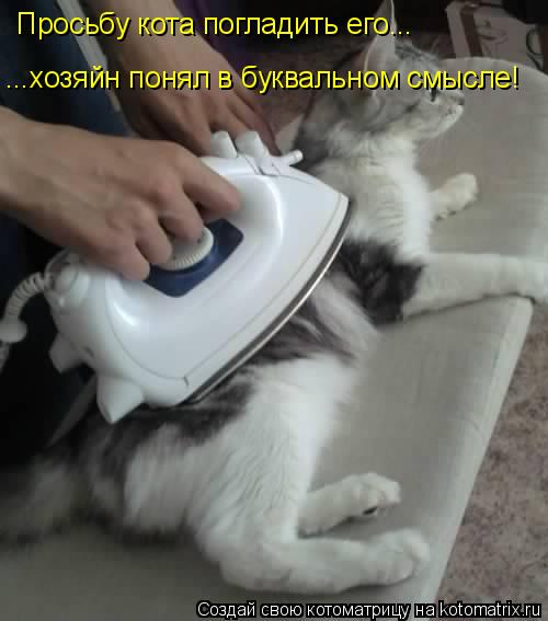 Просьбу кота погладить его... ...хозяйн понял в буквальном смысле!... Котоматрица: Просьбу кота погладить его... ...хозяйн понял в буквальном смысле!