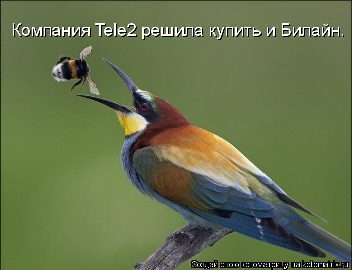 Компания Tele2 решила купить и Билайн.... Котоматрица: Компания Tele2 решила купить и Билайн.