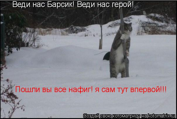 Веди нас Барсик! Веди нас герой! Пошли вы все нафиг! я сам тут впервой!!!... Котоматрица: Веди нас Барсик! Веди нас герой! Пошли вы все нафиг! я сам тут впервой!!!