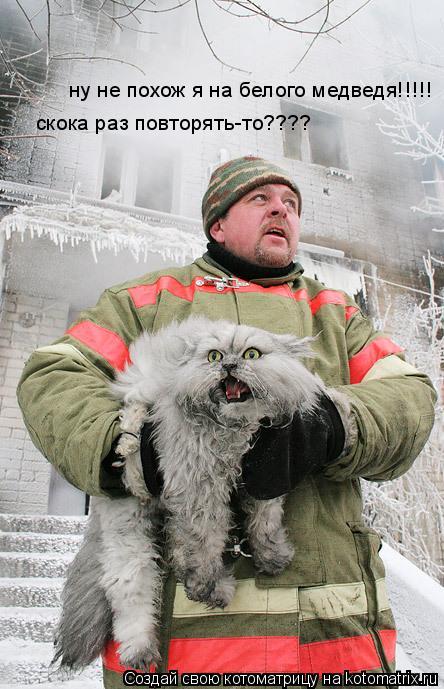 ну не похож я на белого медведя!!!!! скока раз повторять-то????... Котоматрица: ну не похож я на белого медведя!!!!! скока раз повторять-то????