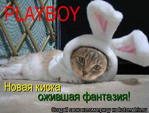 PLAYBOY Новая киска ожившая фантазия!... Котоматрица: PLAYBOY Новая киска ожившая фантазия!