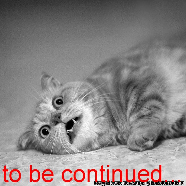 to be continued...... Котоматрица: to be continued...