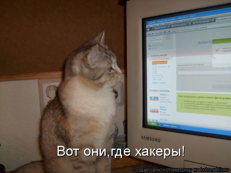 Вот они,где хакеры!... Котоматрица: Вот они,где хакеры!
