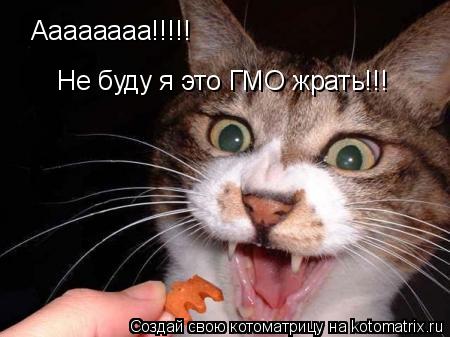 Аааааааа!!!!! Не буду я это ГМО жрать!!!... Котоматрица: Аааааааа!!!!! Не буду я это ГМО жрать!!!