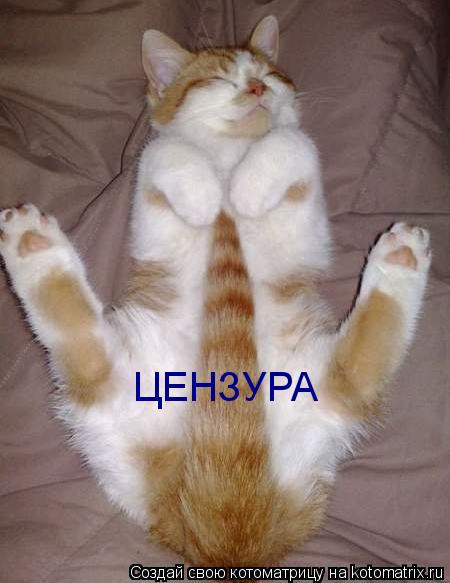 ЦЕНЗУРА... Котоматрица: ЦЕНЗУРА