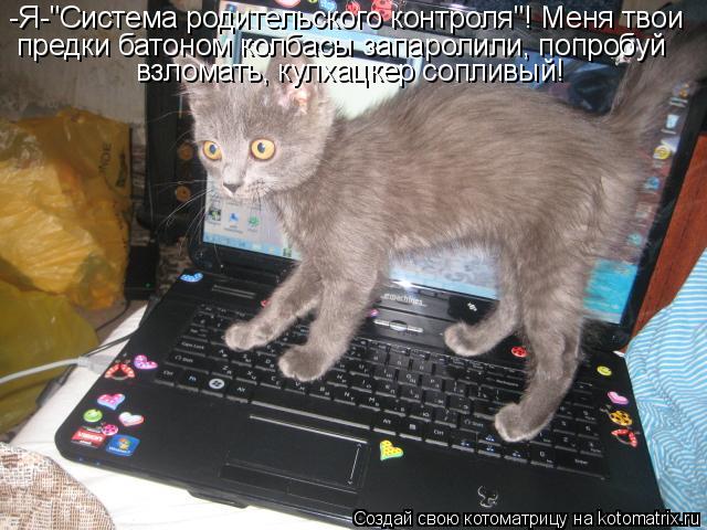 -Я-"Система родительского контроля"! Меня твои предки батоном колбасы запаролили, попробуй взломать... Котоматрица: -Я-"Система родительского контроля"! Меня твои предки батоном колбасы запаролили, попробуй взломать, кулхацкер сопливый!