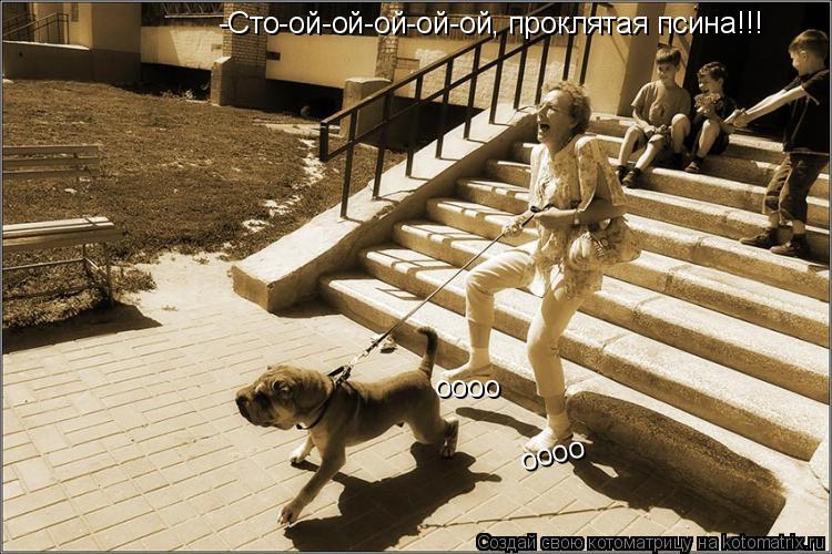-Сто-ой-ой-ой-ой-ой, проклятая псина!!! оооо оооо... Котоматрица: -Сто-ой-ой-ой-ой-ой, проклятая псина!!! оооо оооо