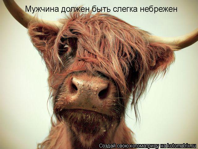 Мужчина должен быть слегка небрежен... Котоматрица: Мужчина должен быть слегка небрежен