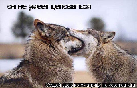 он не умеет целоваться он не умеет целоваться... Котоматрица: он не умеет целоваться он не умеет целоваться