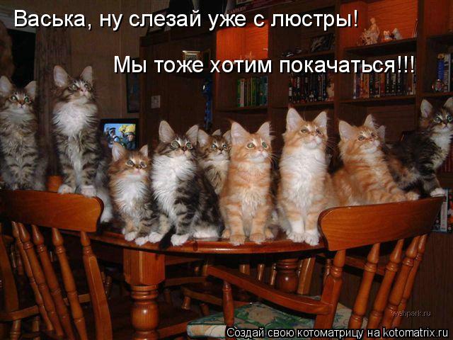 Васька, ну слезай уже с люстры! Мы тоже хотим покачаться!!!... Котоматрица: Васька, ну слезай уже с люстры! Мы тоже хотим покачаться!!!