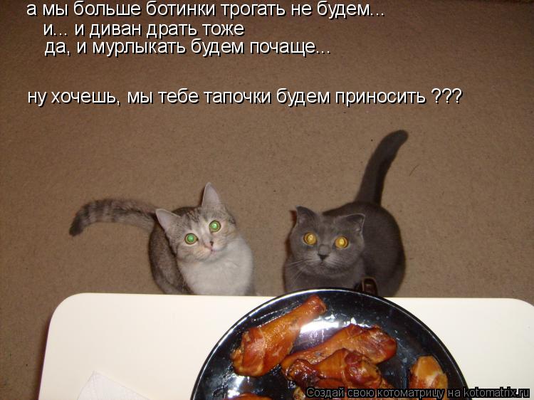 и... и диван драть тоже да, и мурлыкать будем почаще... ну хочешь, мы тебе тапочки будем приносить ??... Котоматрица: и... и диван драть тоже да, и мурлыкать будем почаще... ну хочешь, мы тебе тапочки будем приносить ??? а мы больше ботинки трогать не будем...