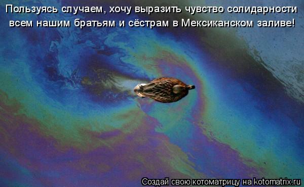 Пользуясь случаем, хочу выразить чувство солидарности всем нашим братьям и сёстрам в Мексиканском за... Котоматрица: Пользуясь случаем, хочу выразить чувство солидарности всем нашим братьям и сёстрам в Мексиканском заливе!