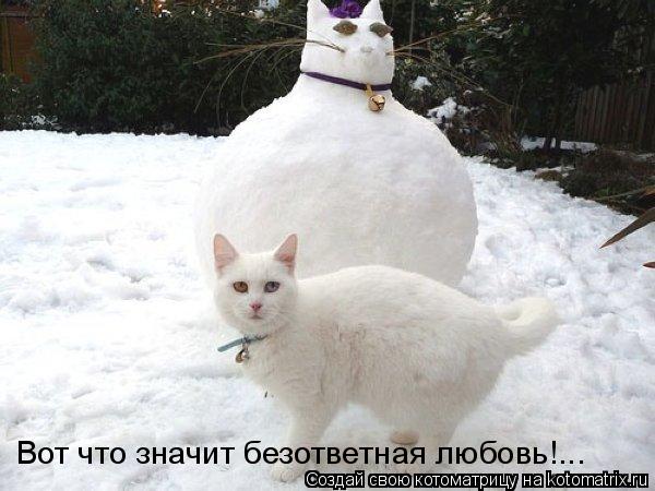 Вот что значит безответная любовь!...... Котоматрица: Вот что значит безответная любовь!...